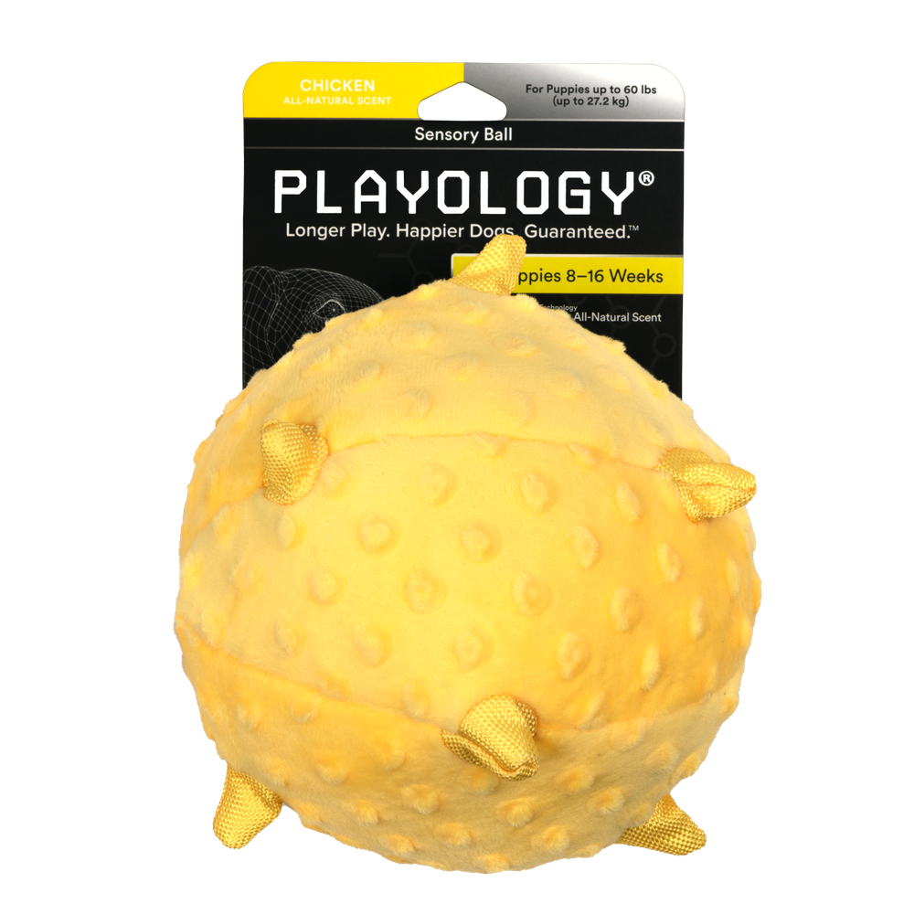 Сенсорный плюшевый мяч Playology PUPPY SENSORY BALL 15 см для щенков средних и крупных пород 8-16 недель с ароматом курицы, цвет желтый