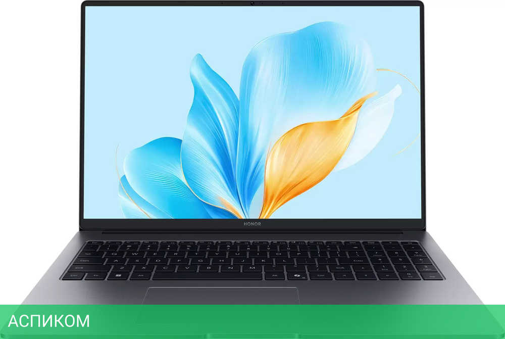 Ноутбук HONOR MagicBook X16 2025 BRG-565 5301ALWS