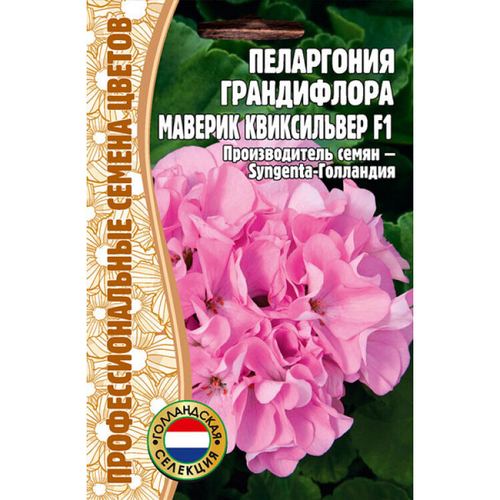 Пеларгония грандифлора Маверик квиксильвер