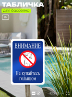 Табличка для бассейна "Внимание, не купайтесь голышом", на пляж, для общественной и частной зоны отдыха, информационная, 40х30 см, Silver Plane x Айдентика Технолоджи