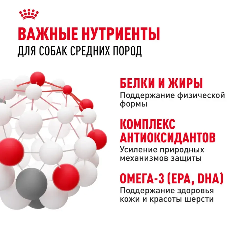 Royal canin medium adult сухой корм для взрослых собак средних пород от 12 месяцев до 7 лет, со свининой - 3 кг