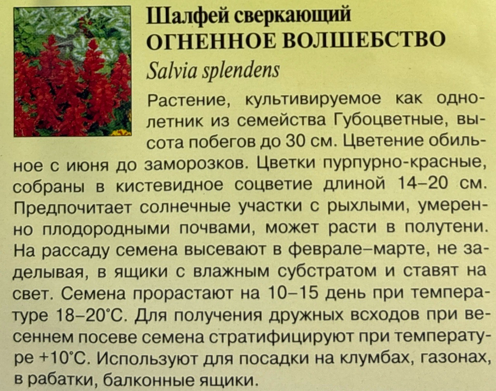 Сальвия (Шалфей ) Огненное волшебство  0,1 г СМЦ-757