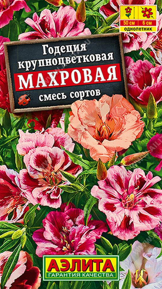 Годеция крупноцветковая "G. Махровая" 0.2г., Россия. Годеция крупноцветковая "G. Махровая" 0.2г., Россия.