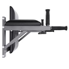 Брусья настенные DFC Homegym G294