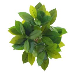 GAEM Дерево искусственное "Лимон", L24 W21 H40 см