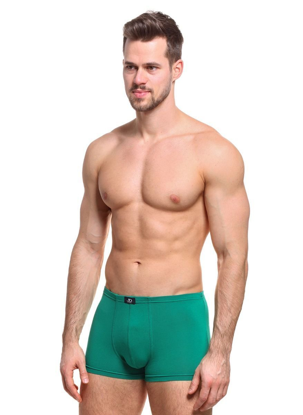 Хлопковые мужские трусы-боксеры (Размер: XL) (Цвет: зеленый)