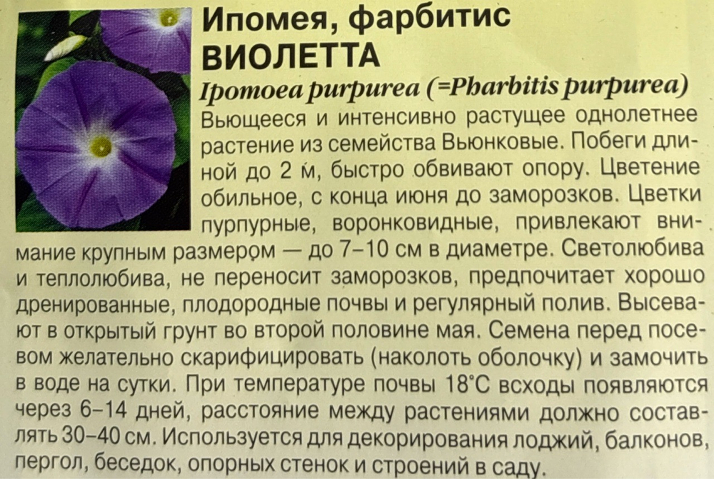 Ипомея Виолетта 0,5 г СМЦ-524