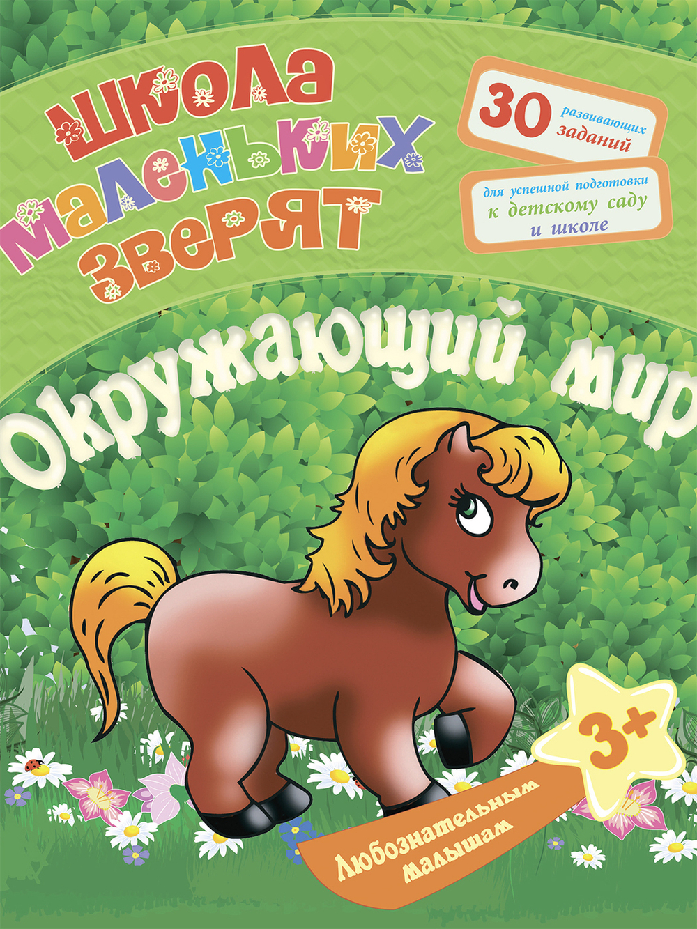 Полный курс подготовки к школе. 6 книг по всем направлениям развития