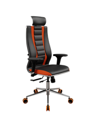 SynchroSit 10 B2-160D - X2+Extra /Km39/Wm12/D02P/H13mL-1DF(M18.B23.G18.W37)