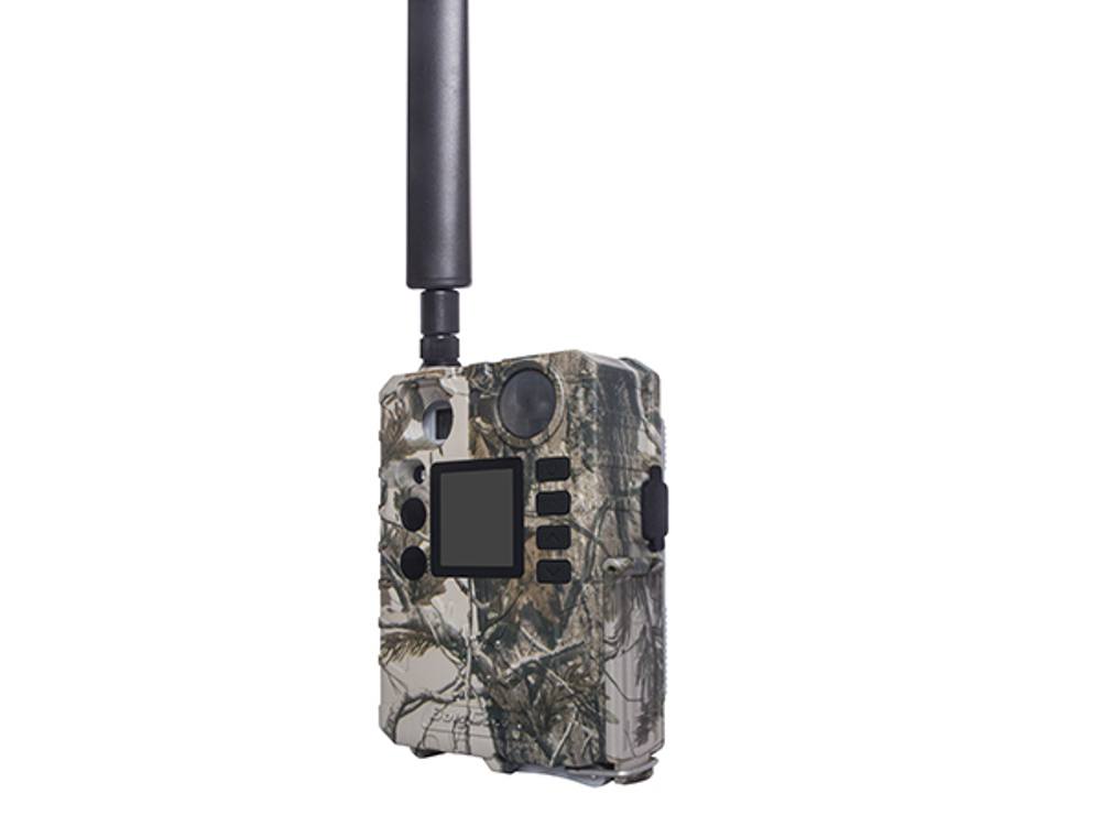 Фотоловушка Boly Guard BG310-M 18MP (4G/LTE)