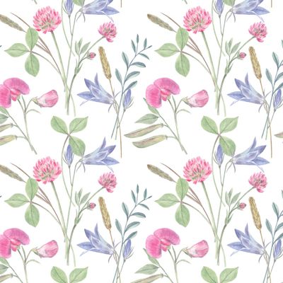 Полевые цветы на белом