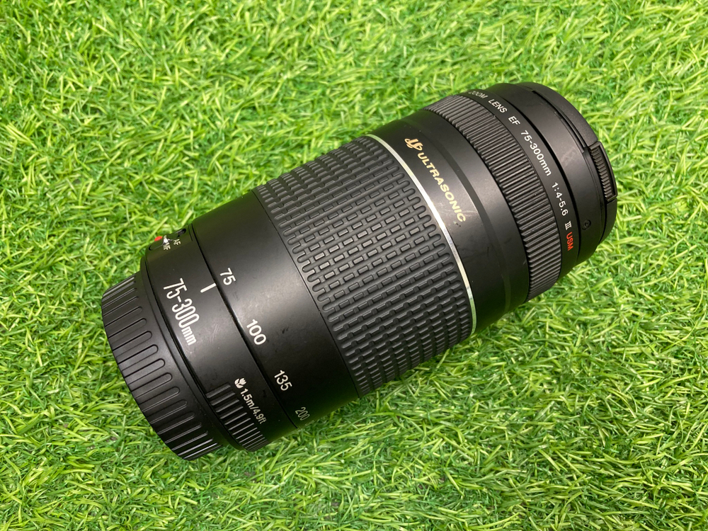 Canon EF 75-300mm 4-5.6 III USM