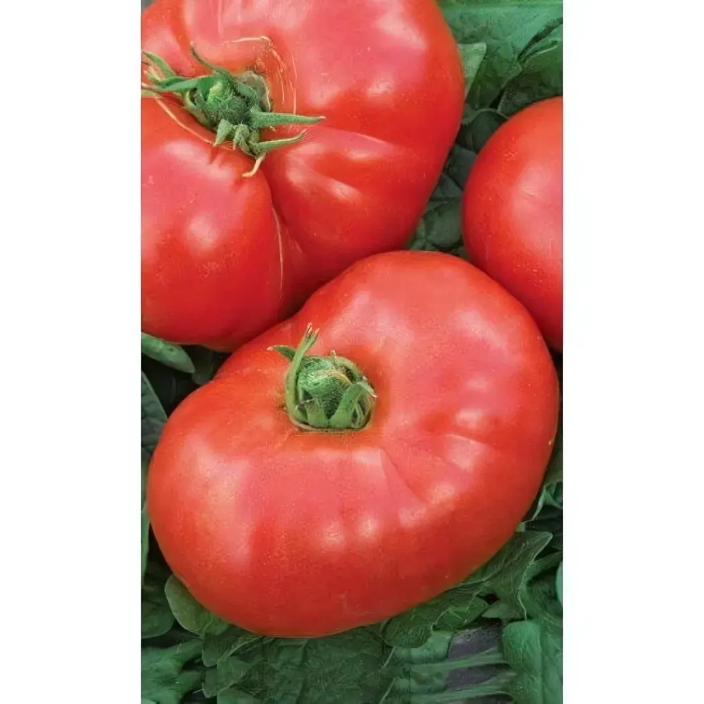 Семена Томат Космонавт Волков (УД) Е/П