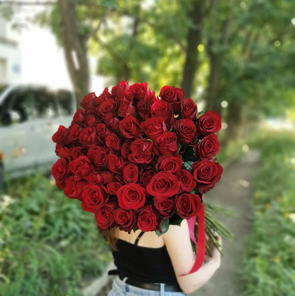 51 Красная высокая роза