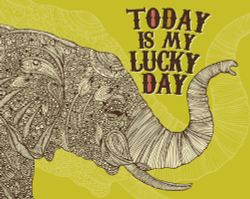 Коллекция Животные