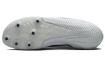 Кроссовки Nike Zoom Rival S10
