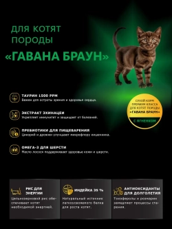 Корм для котят породы Гавана браун, с ягненком, 2 кг