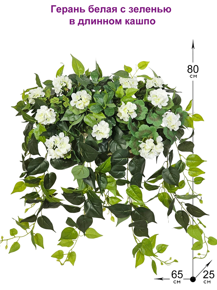 Герань белая с ампельной зеленью 80см в длинном кашпо