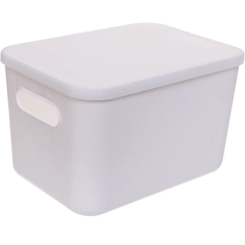 Корзина - органайзер с крышкой для хранения «БИСКОТТИ», цвет белый, 26*18.5*16см