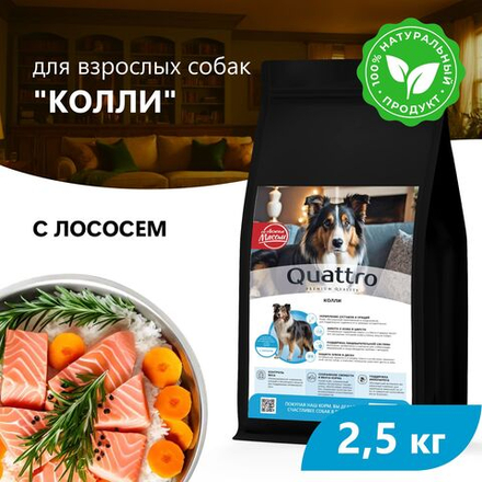 Корм сухой для взрослых собак породы Колли, премиум полнорационный комплекс, с лососем, 2,5 кг, QUATTRO