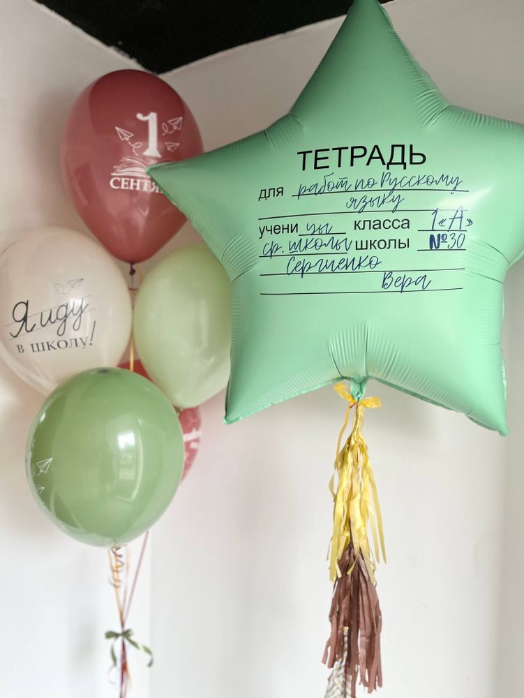 Воздушные шары день знаний/зеленая тетрадь мятный №3691