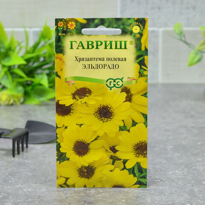 ХРИЗАНТЕМА Эльдорадо Гавриш Ц (10шт)