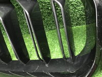 Решетка радиатора BMW M5 F90 (2020-2024)