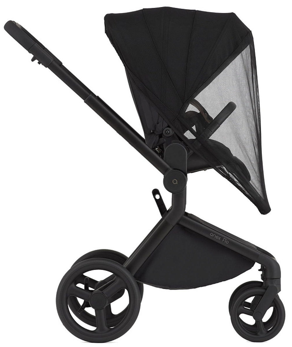 Детская коляска Anex Flo 2 в 1 Lungo