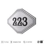 Номерок на дверь квартиры 223, для кабинета, офиса, шильдик 9 х 7 см, серебристый, Айдентика Технолоджи