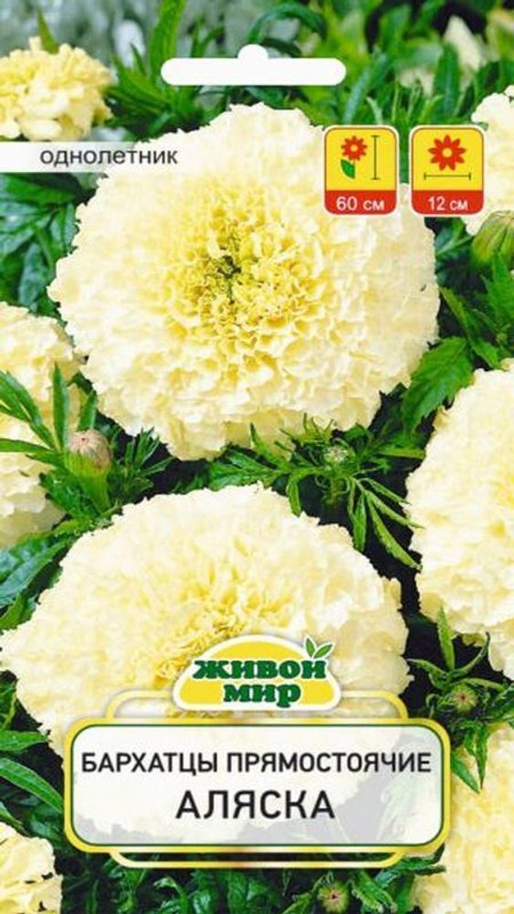 Бapxaтцы &quot;Aляcкa&quot; 1г., Польша.