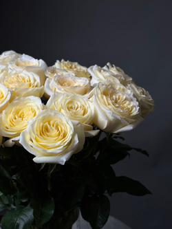 Пионовидные розы сорт «CANDLELIGHT» (Эквадор)