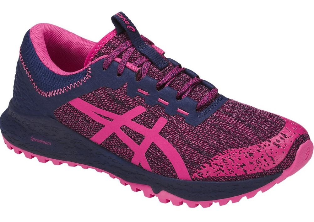 Кроссовки ASICS ALPINE XT Women T878N-1919