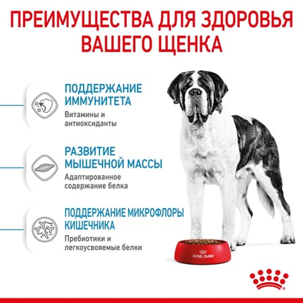 Royal Canin GIANT JUNIOR питание д/ щенков очень крупных пород с 8-24 месяцев 15 кг