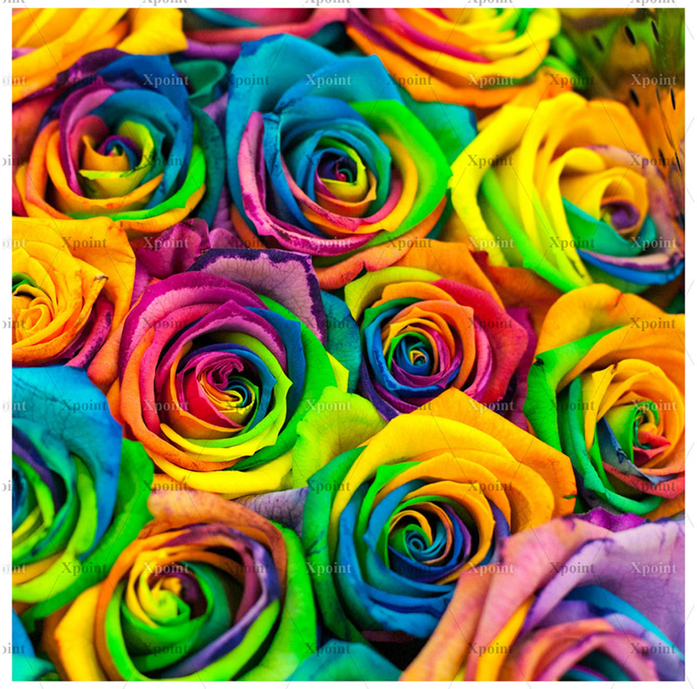 Микровелюр Xpoint (Икспоинт) 0048.01 Роза цветная купон