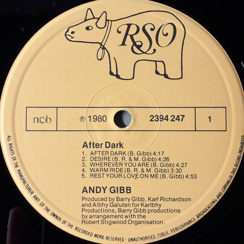Andy Gibb - After Dark (Скандинавия 1980г.)