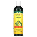 Organix South, TheraNeem Naturals, Scalp Therapé – состав для кожи головы, шампунь, 360 мл (12 жидких унций)