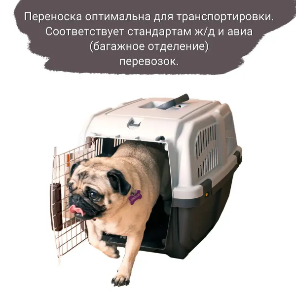 MPS переноска SKUDO 3  60х41х40h см с металлической дверцей с замком серая