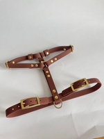 Шлейка из биотана на латунной фурнитуре , s , 15 мм, цвет Мокко под кожу