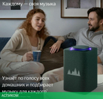 Умная колонка Яндекс Станция Макс с Zigbee зеленый (YNDX-00053Z)