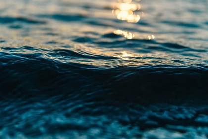Қаратал өзенінде балық аулаудың болашағы қандай
