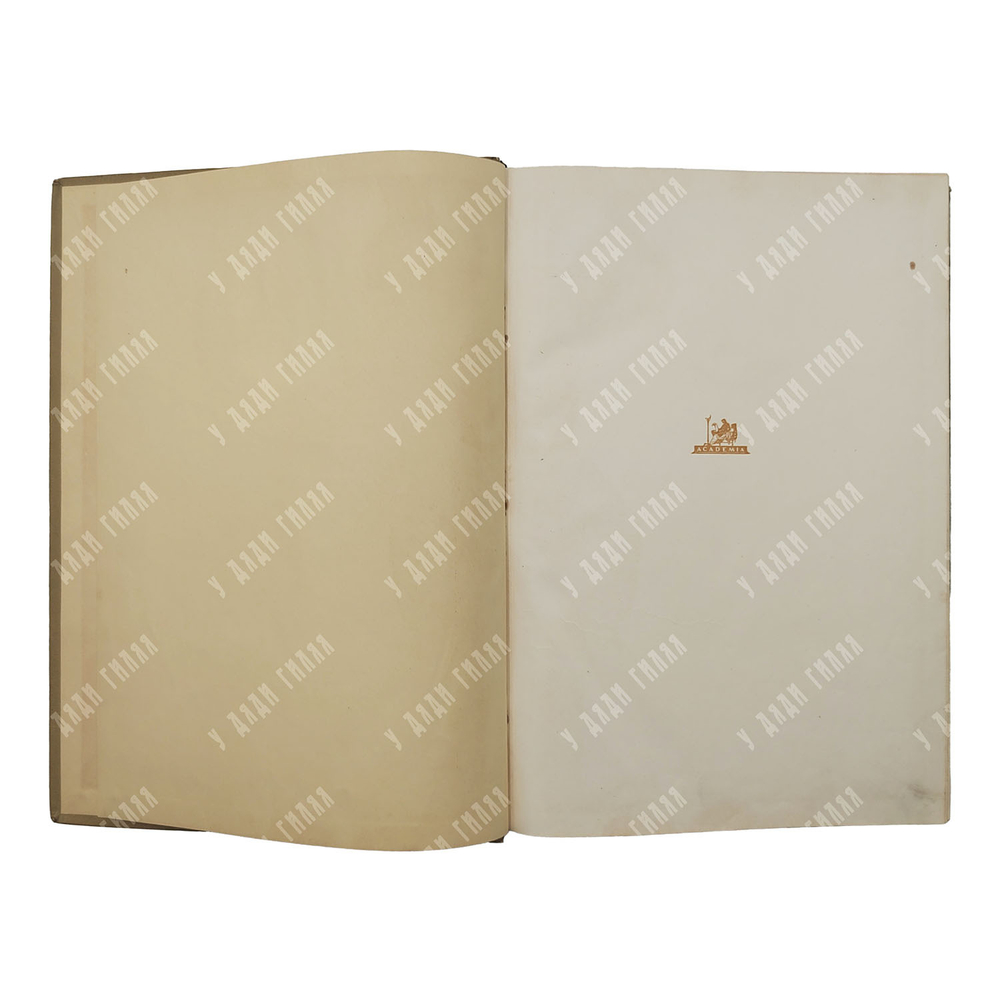 Руставели Ш. Витязь в тигровой шкуре. – М.-Л.: Academia, 1937.