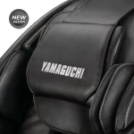 Yamaguchi Mercury