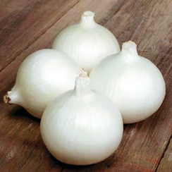 Белло Бланко F1 семена лука репчатого (Sakata / Саката)