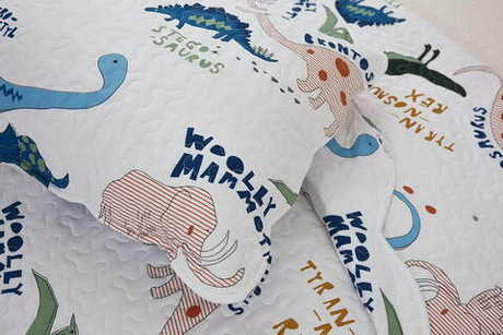 Покрывало 160х220 и наволочка 50х70 Sofi De MarkO Magic №6