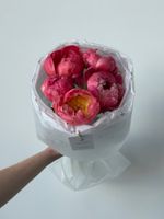 Букет из пионов сорта Корал Шарм 5 шт