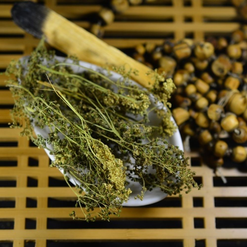 Таволга, цветы