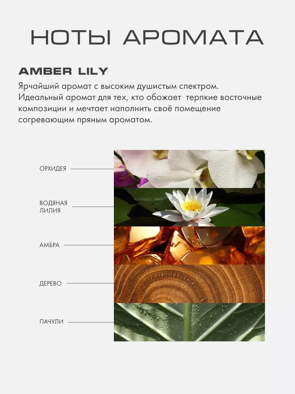 Рефил AMBER LILY