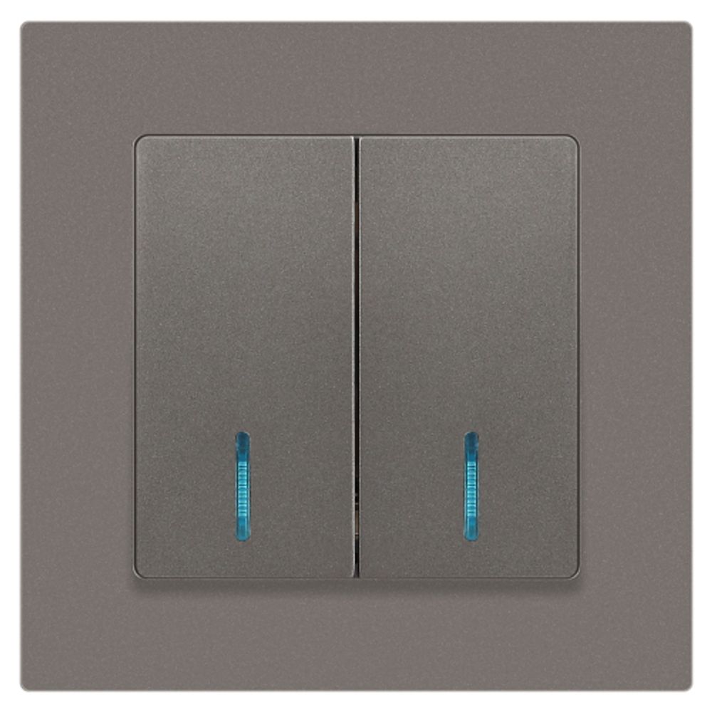 Выключатель Intro Accent 6-105-09 двойной с подсветкой, 10А-250В, IP20, СУ, AL/CU, титан | Intro