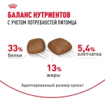 Корм сухой для кошек "Urinary care", 400г