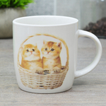 Кружка 360мл Котики, MFK20472